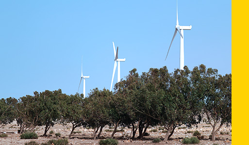 Energy and Climate Change