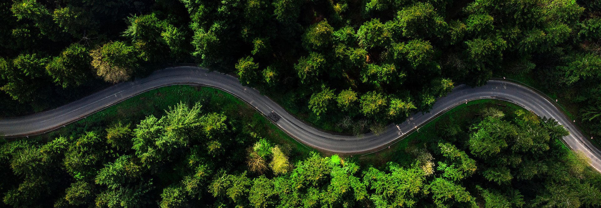 Aerial view of a city in the woods (photo).